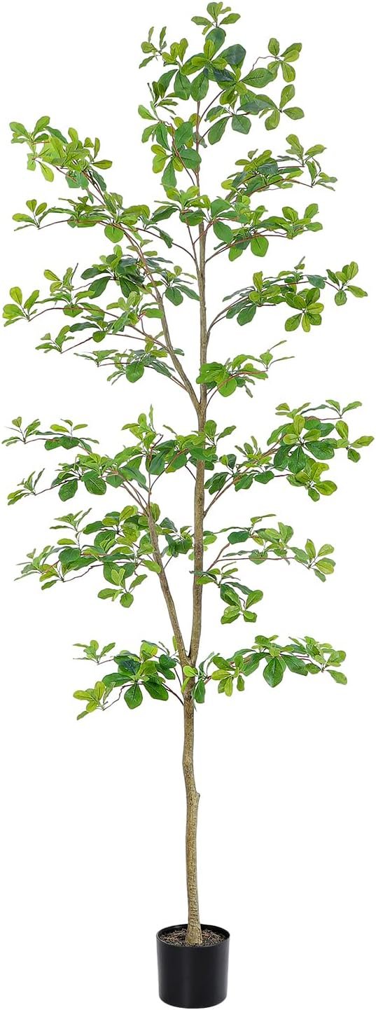 Bellacat Black Olive Tree, 7 Feet