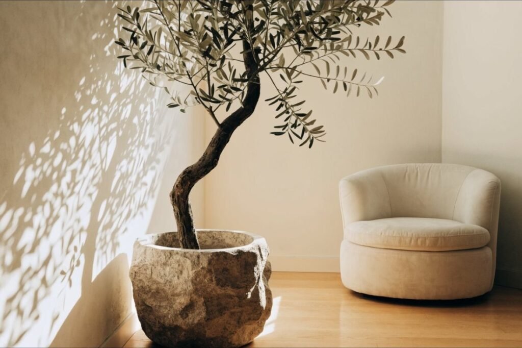 A tall faux olive tree in a textured stone planter casting soft shadows on a plaster wall