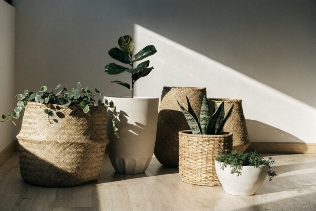 A grouping of matte planters and woven seagrass baskets holding indoor plants in a sunlit corner